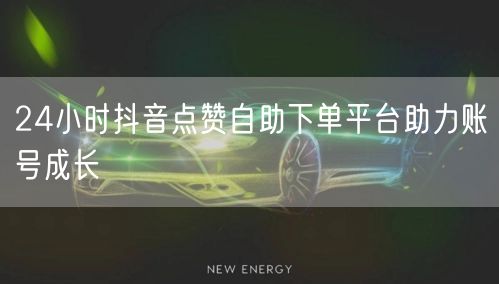 24小时抖音点赞自助下单平台助力账号成长