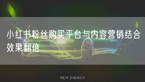 小红书粉丝购买平台与内容营销结合效果翻倍