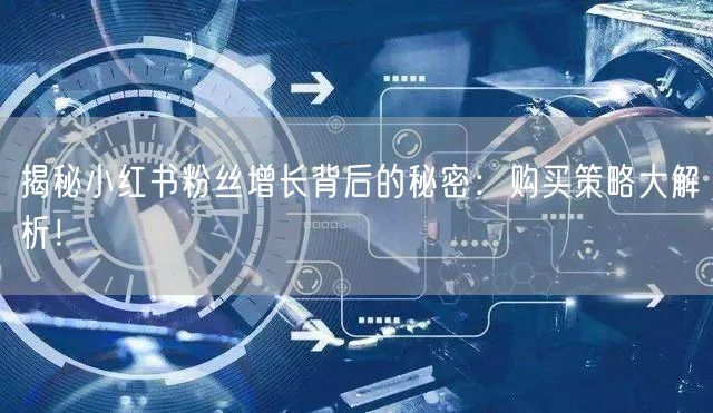揭秘小红书粉丝增长背后的秘密:购买策略大解析!