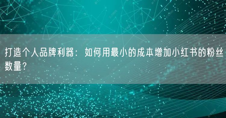 打造个人品牌利器：如何用最小的成本增加小红书的粉丝数量？