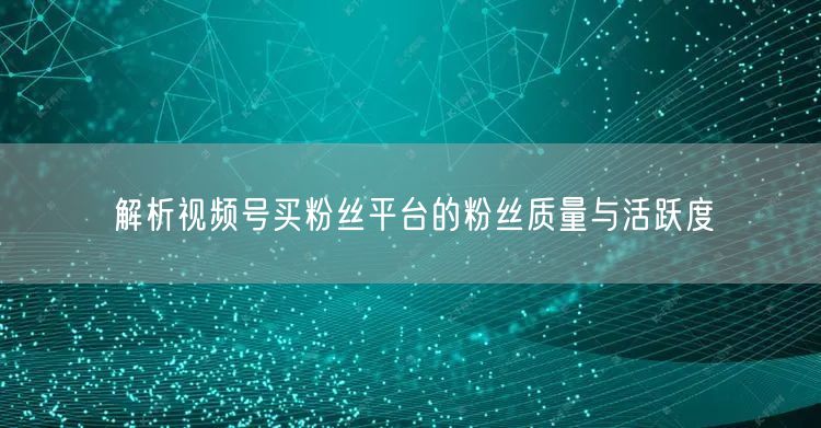 解析视频号买粉丝平台的粉丝质量与活跃度