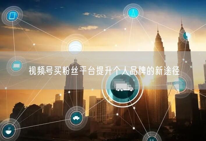 视频号买粉丝平台提升个人品牌的新途径