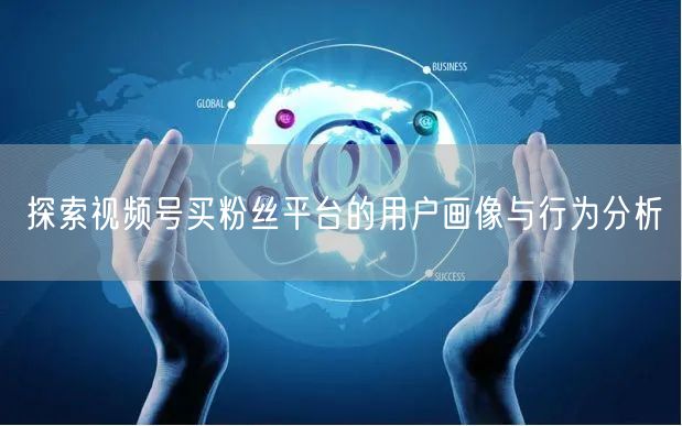 探索视频号买粉丝平台的用户画像与行为分析