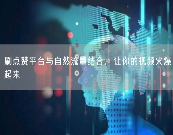 刷点赞平台与自然流量结合,让你的视频火爆起来